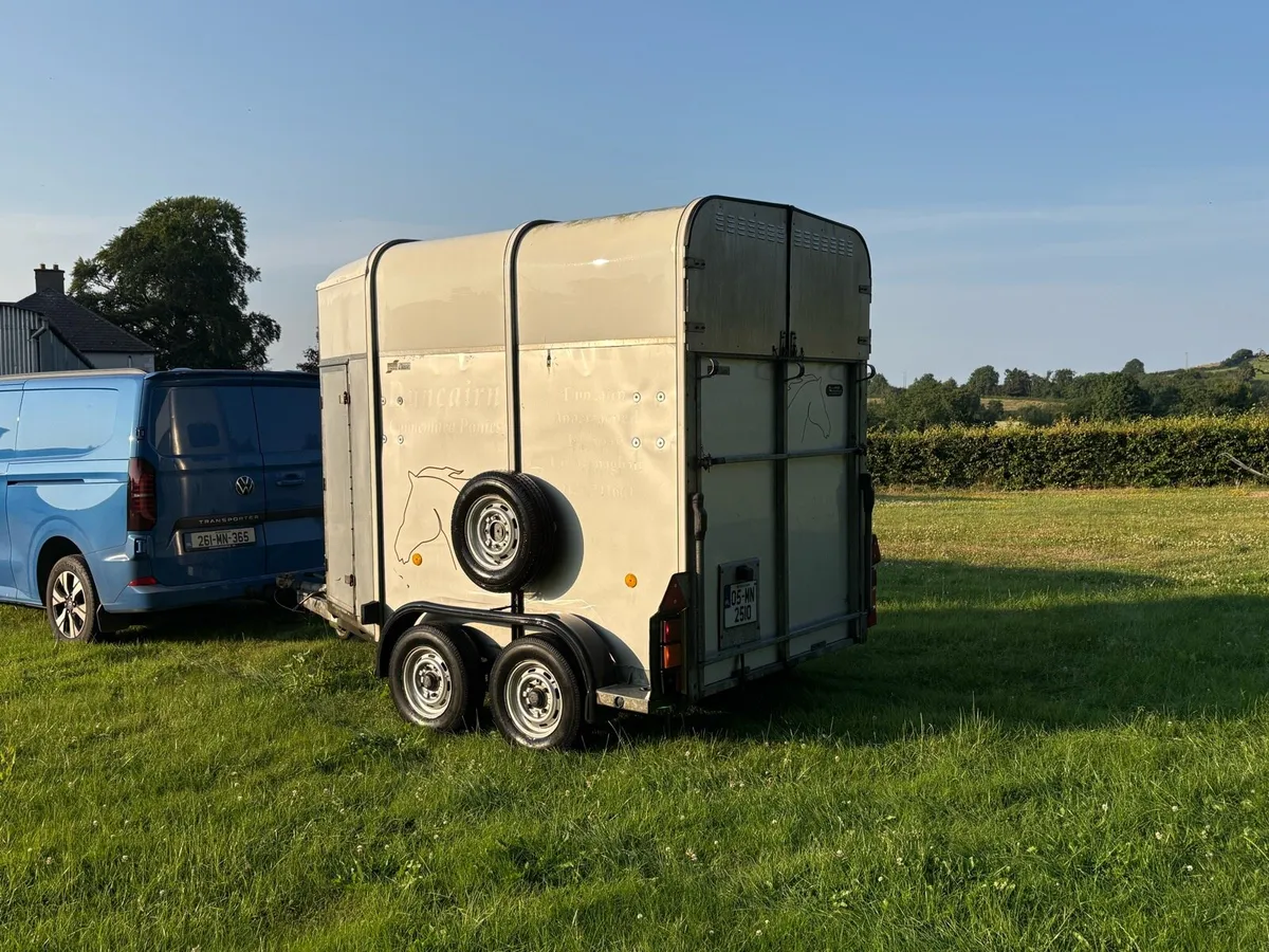 Ifor Williams HB505R Horse Box - Image 3