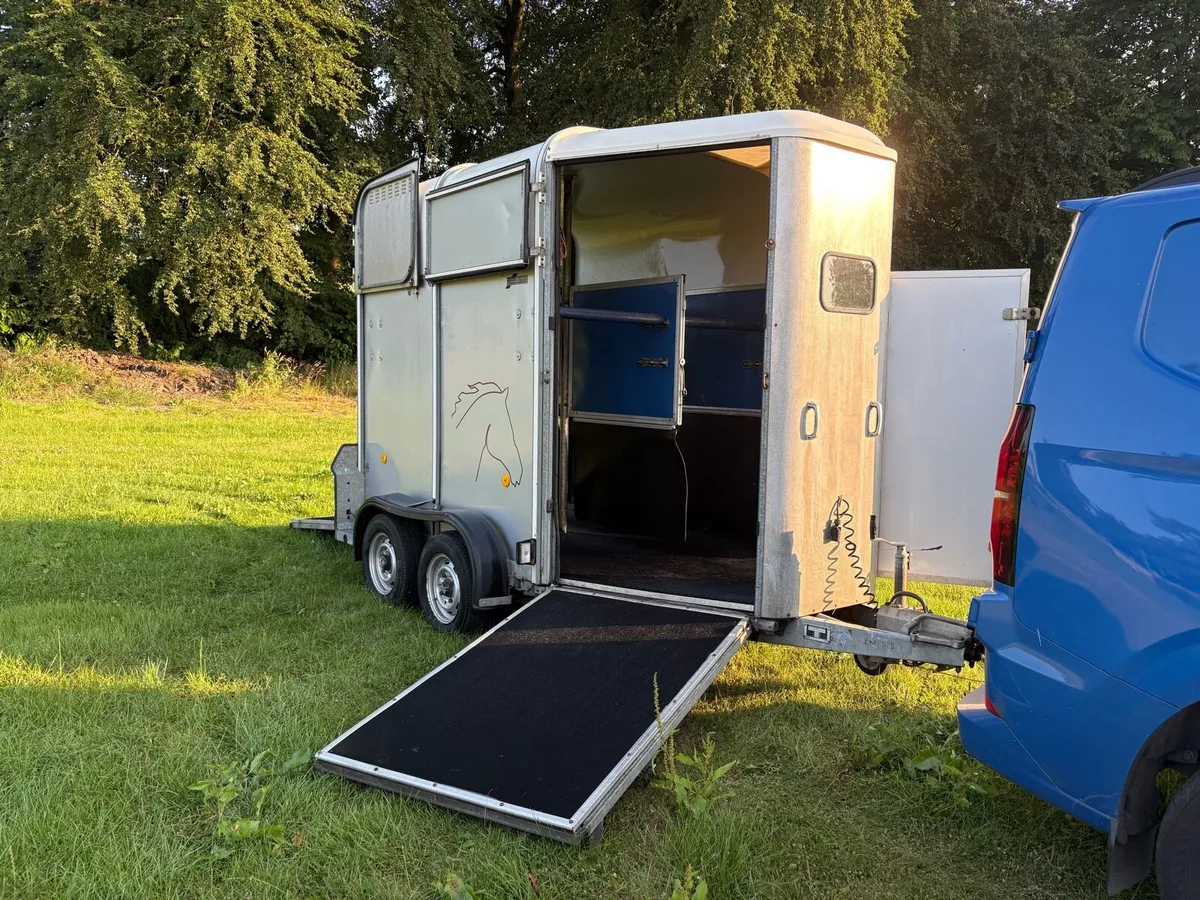 Ifor Williams HB505R Horse Box - Image 4