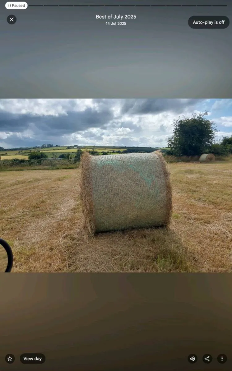 Hay