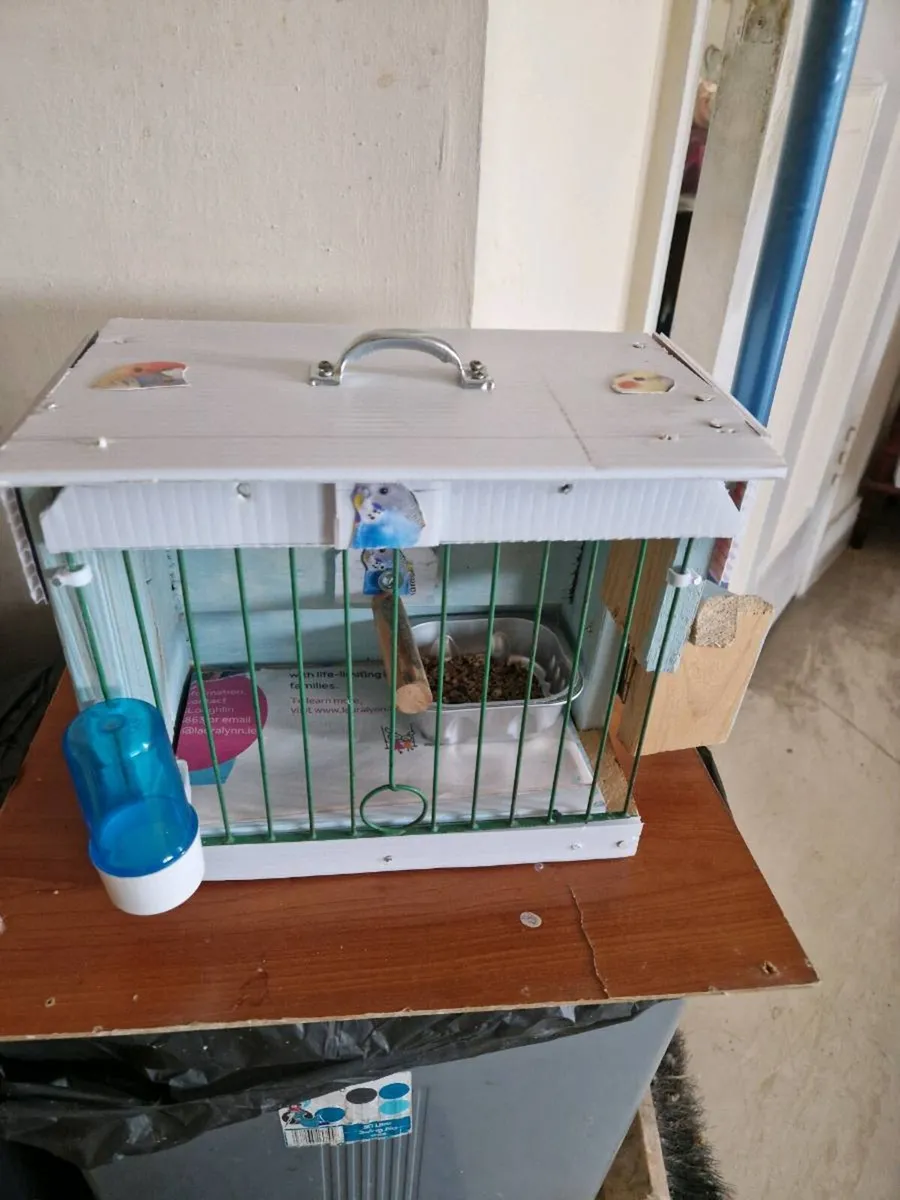 Transport  box cage budgies - Image 2