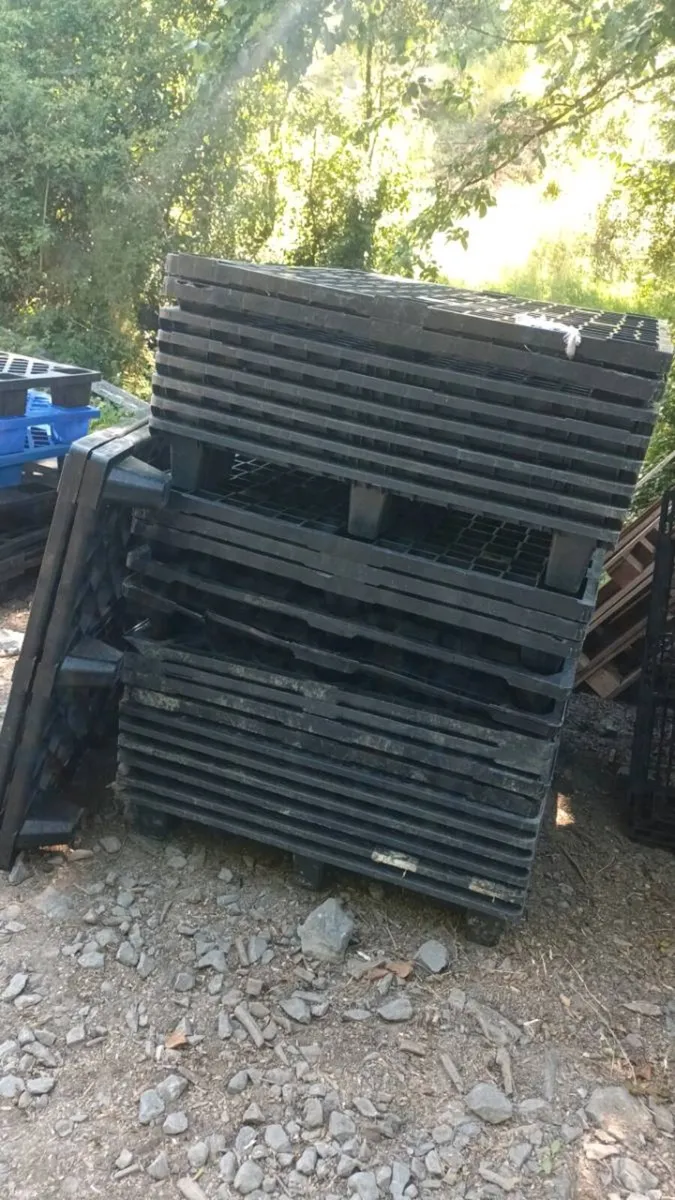 Plastic pallets - Image 1