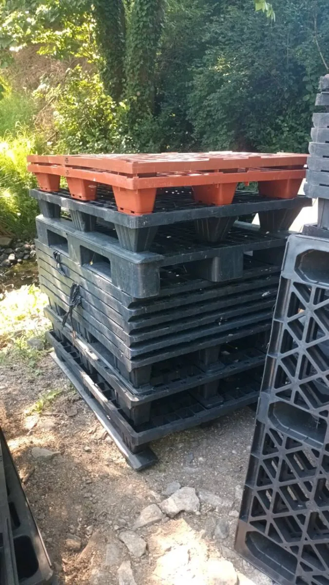 Plastic pallets - Image 2