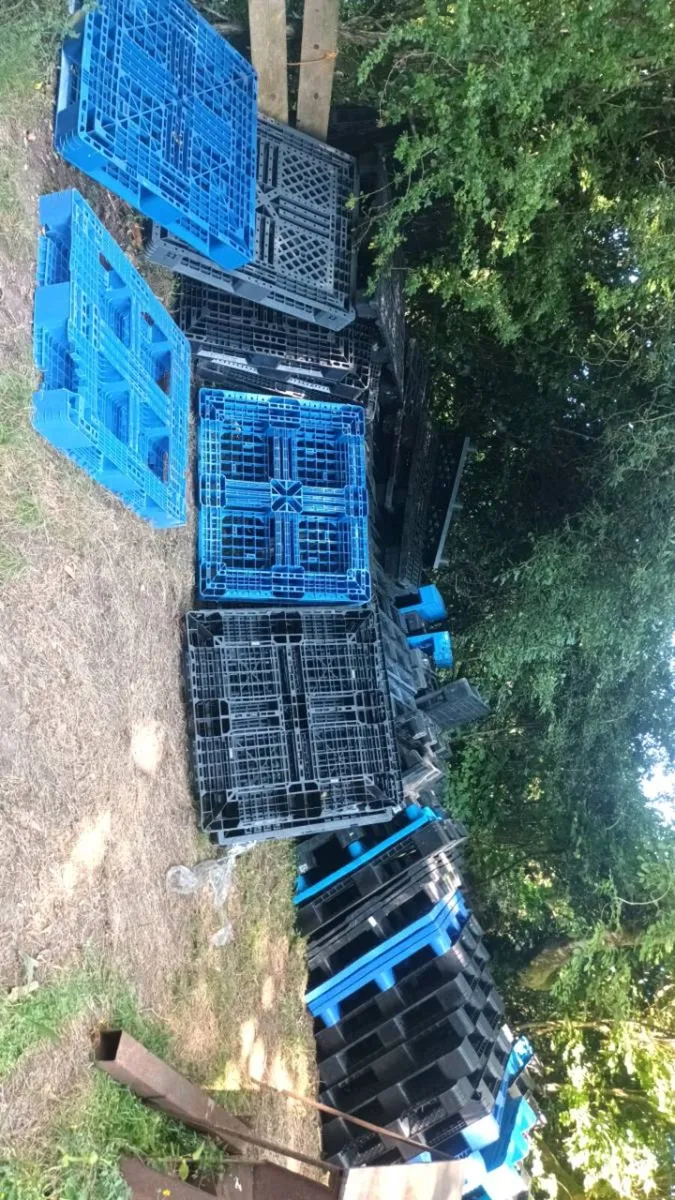 Plastic pallets - Image 4