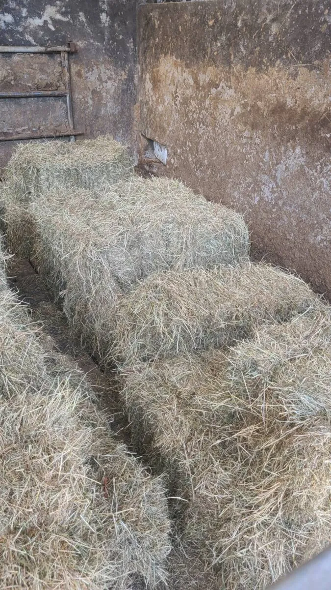 Square bales small - Image 1