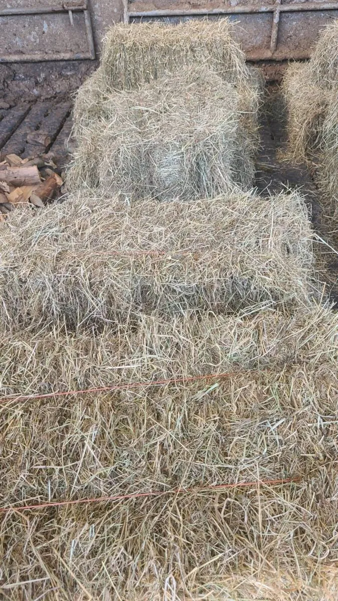 Square bales small - Image 2
