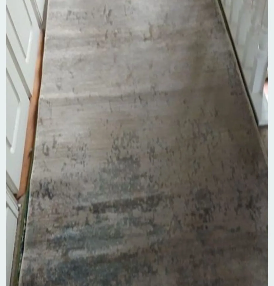 Carpet - Image 2