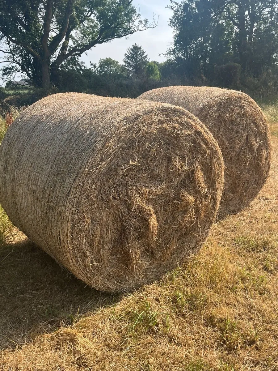 Certified Organic Hay Round Bales