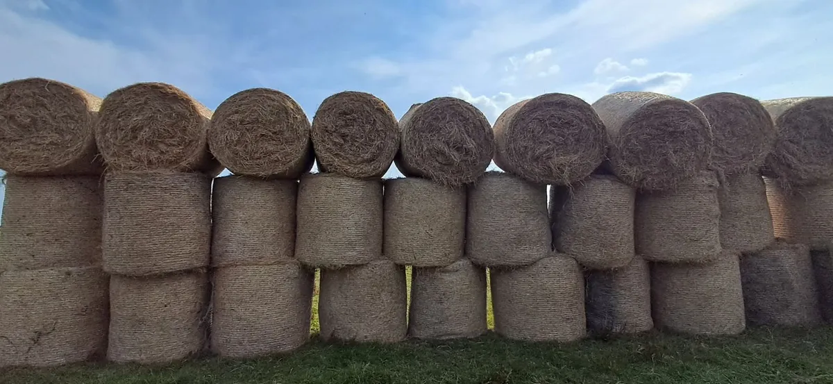Round bales Hay - Image 1