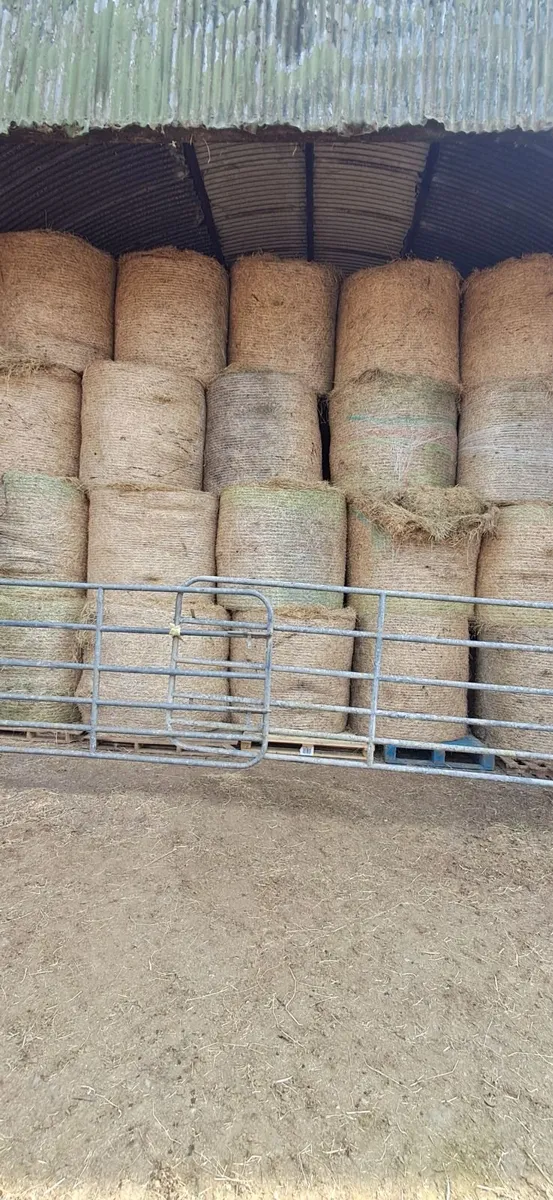 Round bales Hay - Image 2