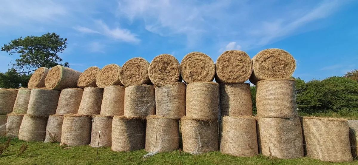 Round bales Hay - Image 3