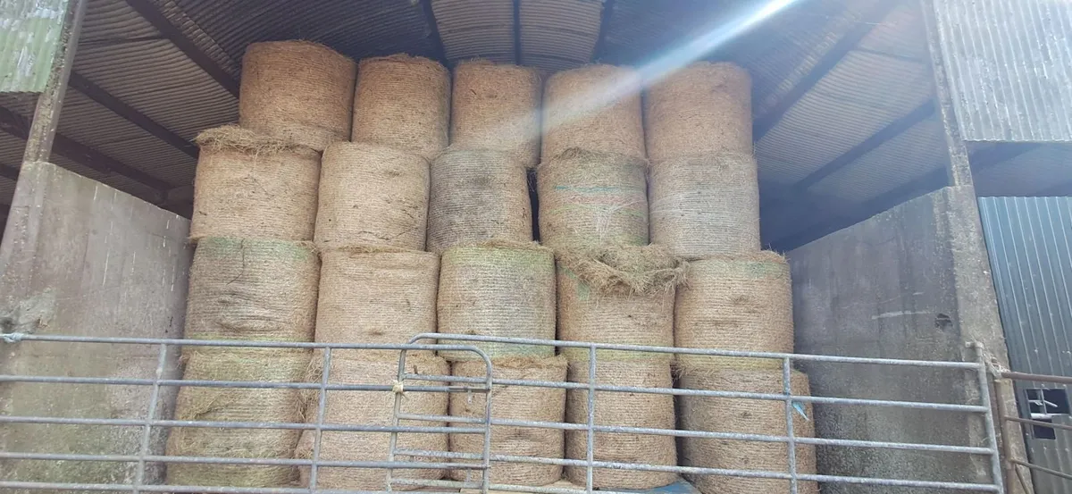 Round bales Hay - Image 4