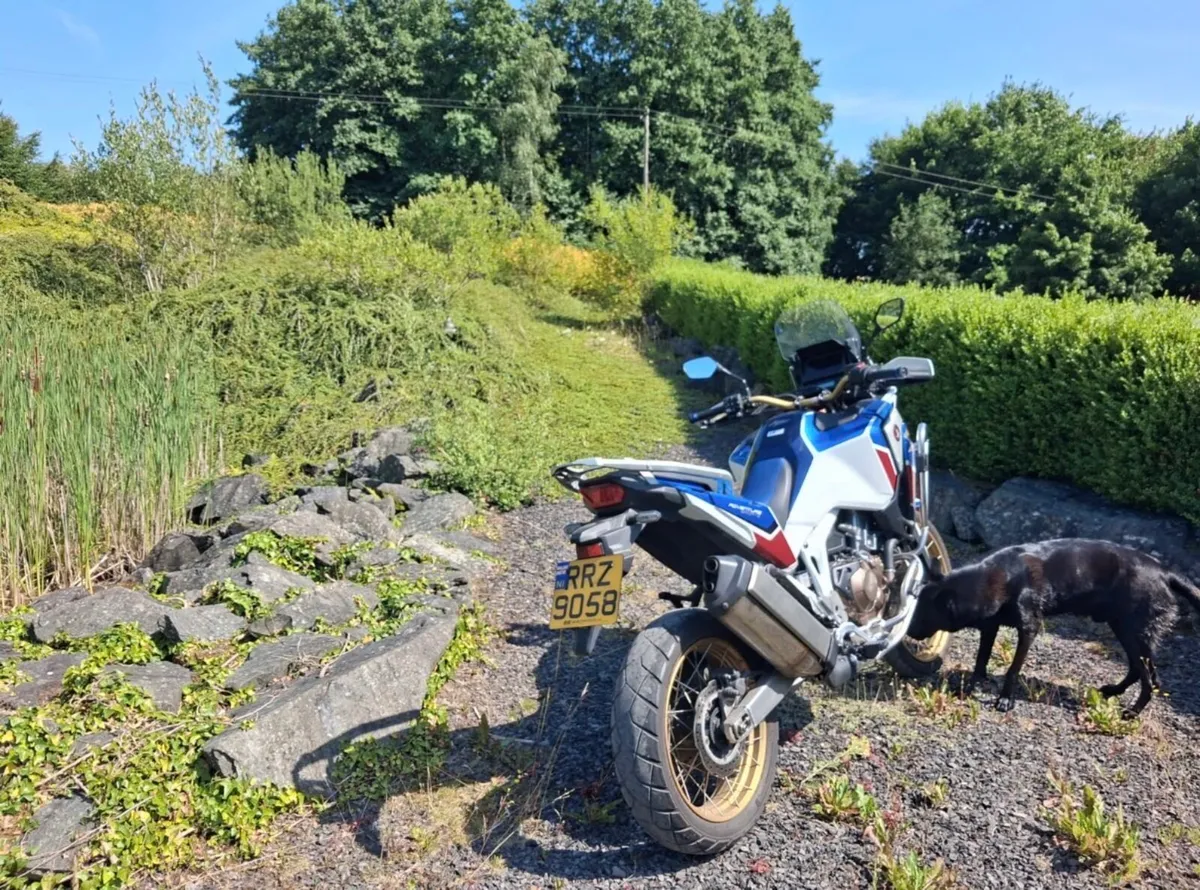 2021 Africa Twin Adventure Sport - Image 3