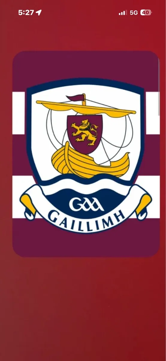 Galway Vs Limerick SWAP( 2davin & 2nally &1 hill)