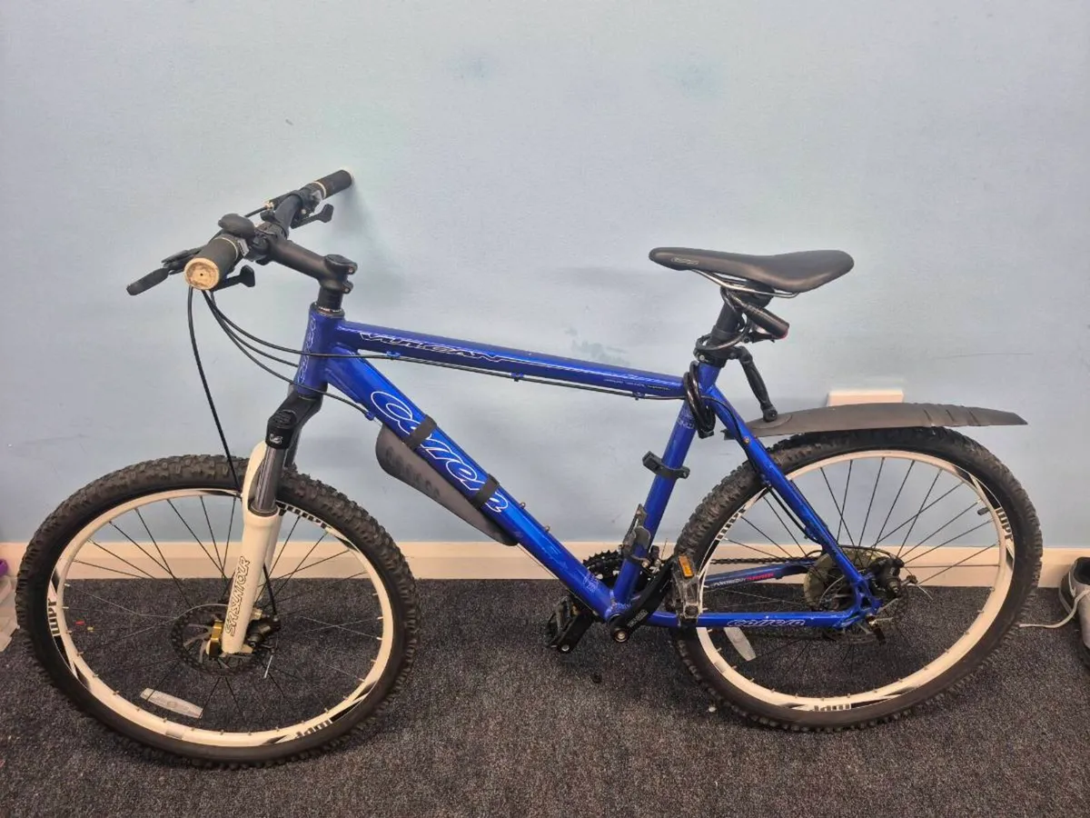 Bike - Image 1
