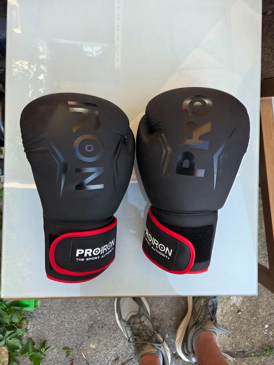 Heavy Punch Bag and Gloves - Image 4