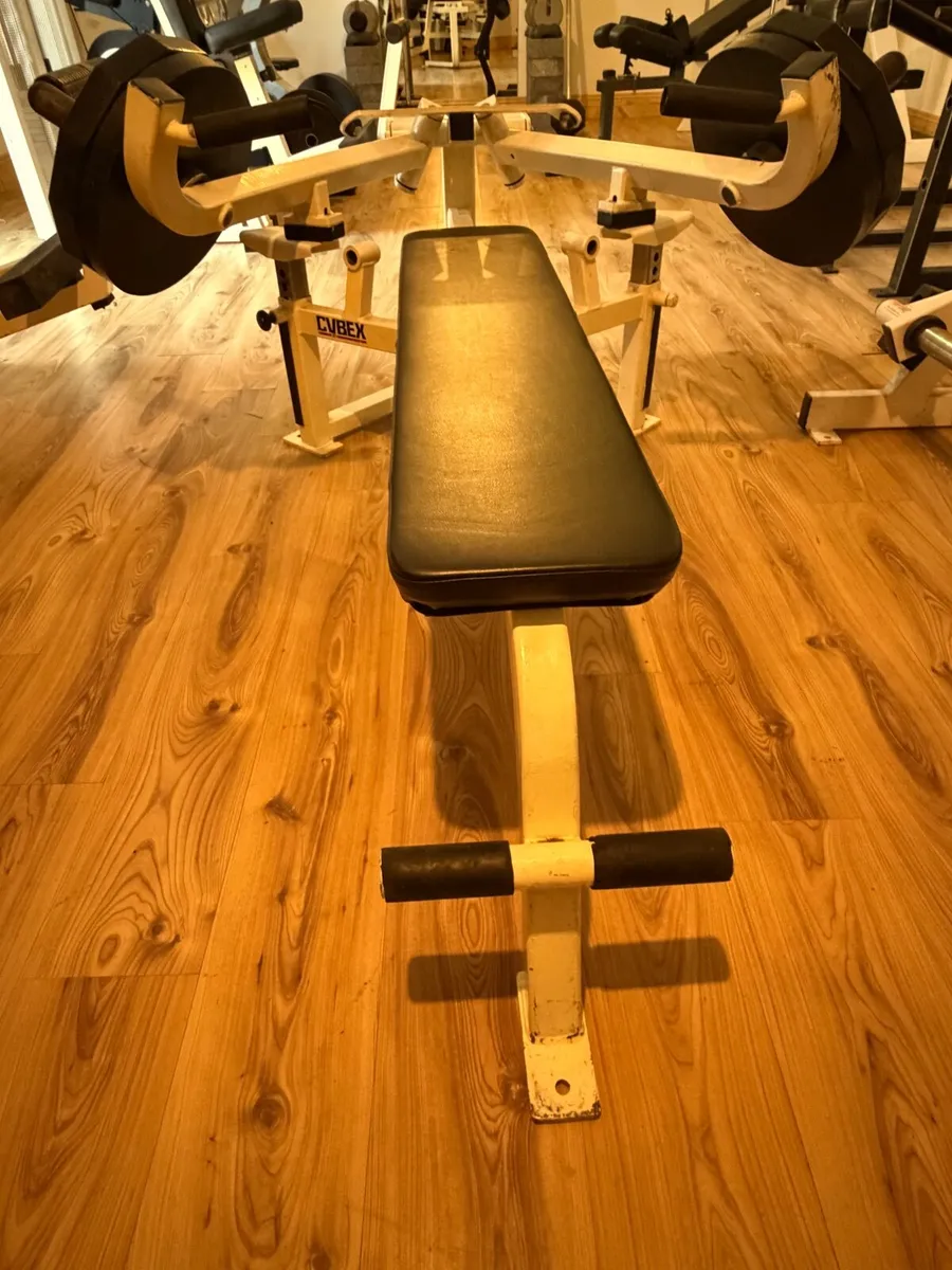 Cybex advanced chest press - Image 2