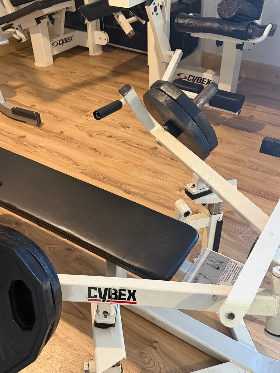Cybex advanced chest press - Image 3