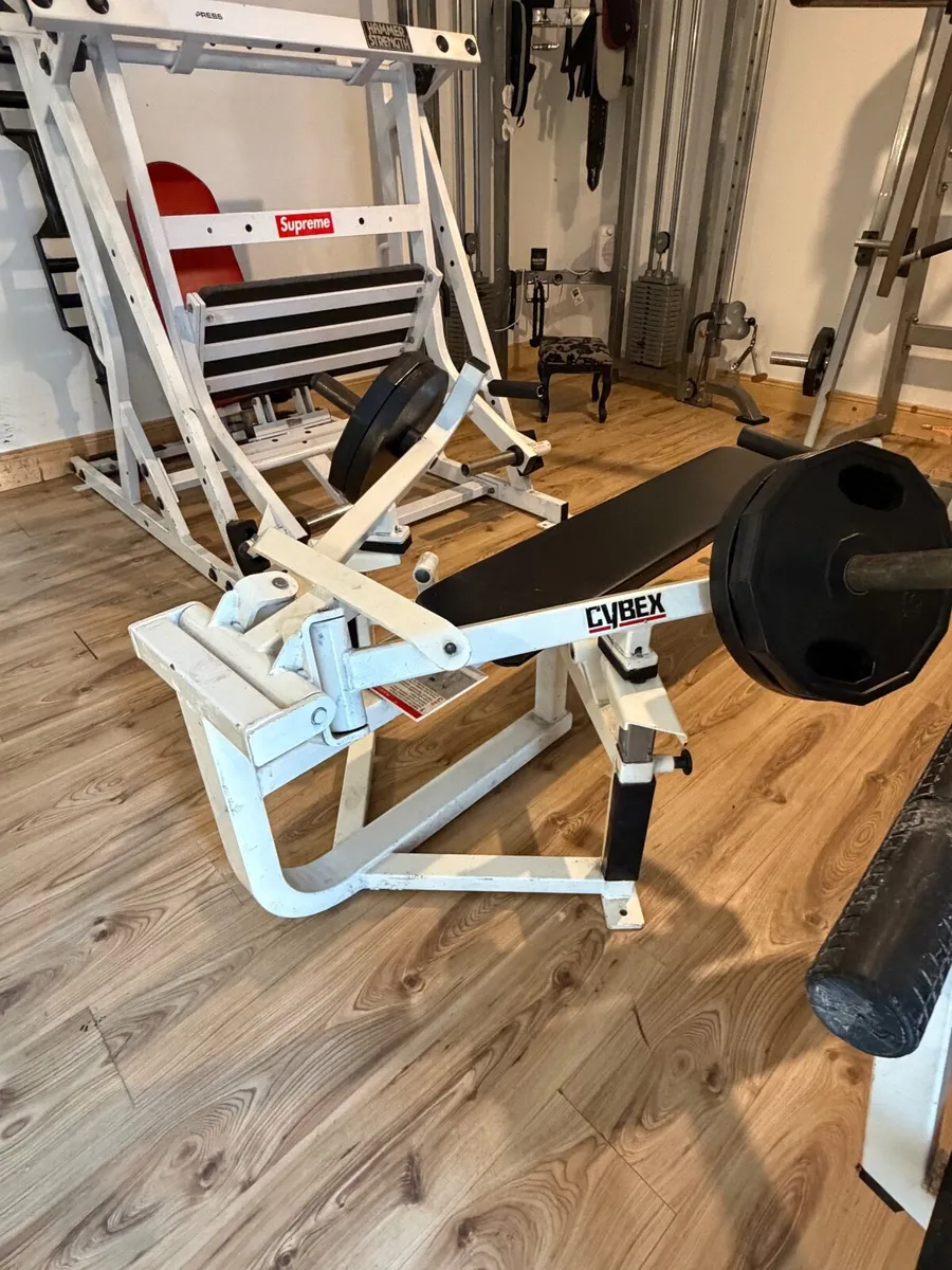 Cybex advanced chest press - Image 1