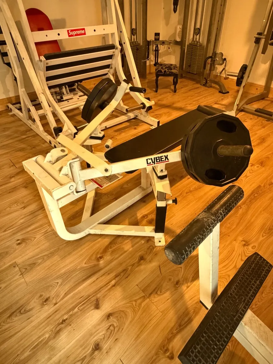 Cybex advanced chest press - Image 4