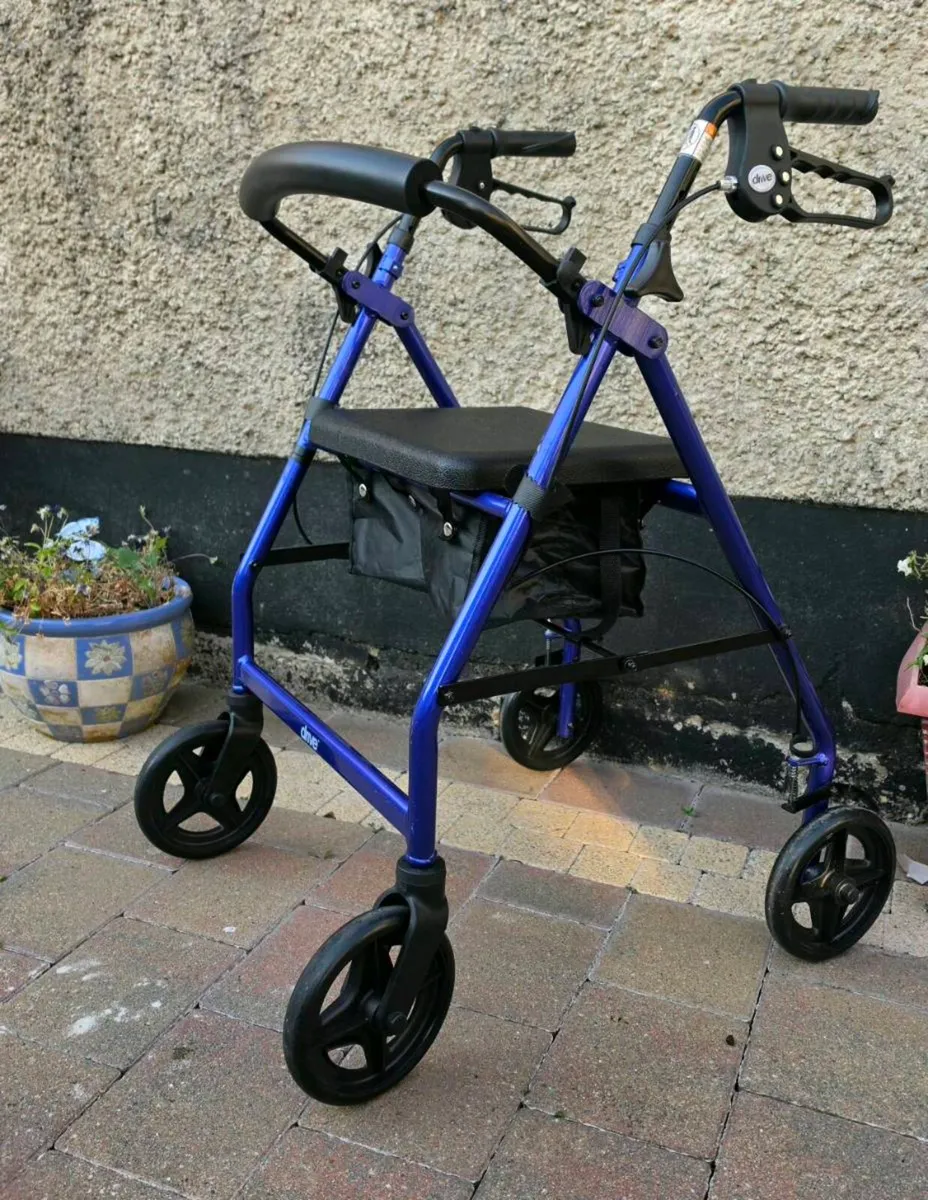 Mobility Walker - Image 1