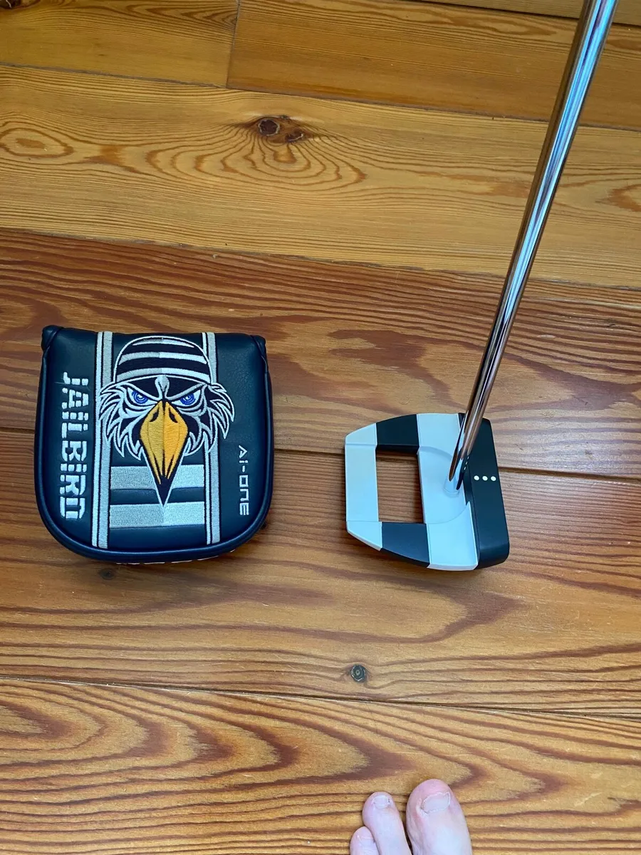 Odyssey Putter - Image 1