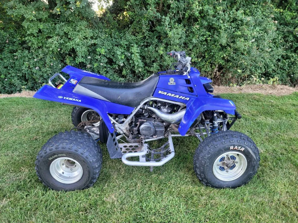 Yamaha Banshee - Image 3