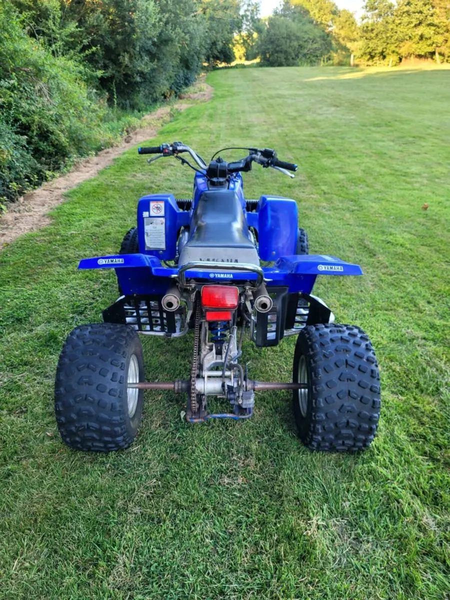 Yamaha Banshee - Image 4