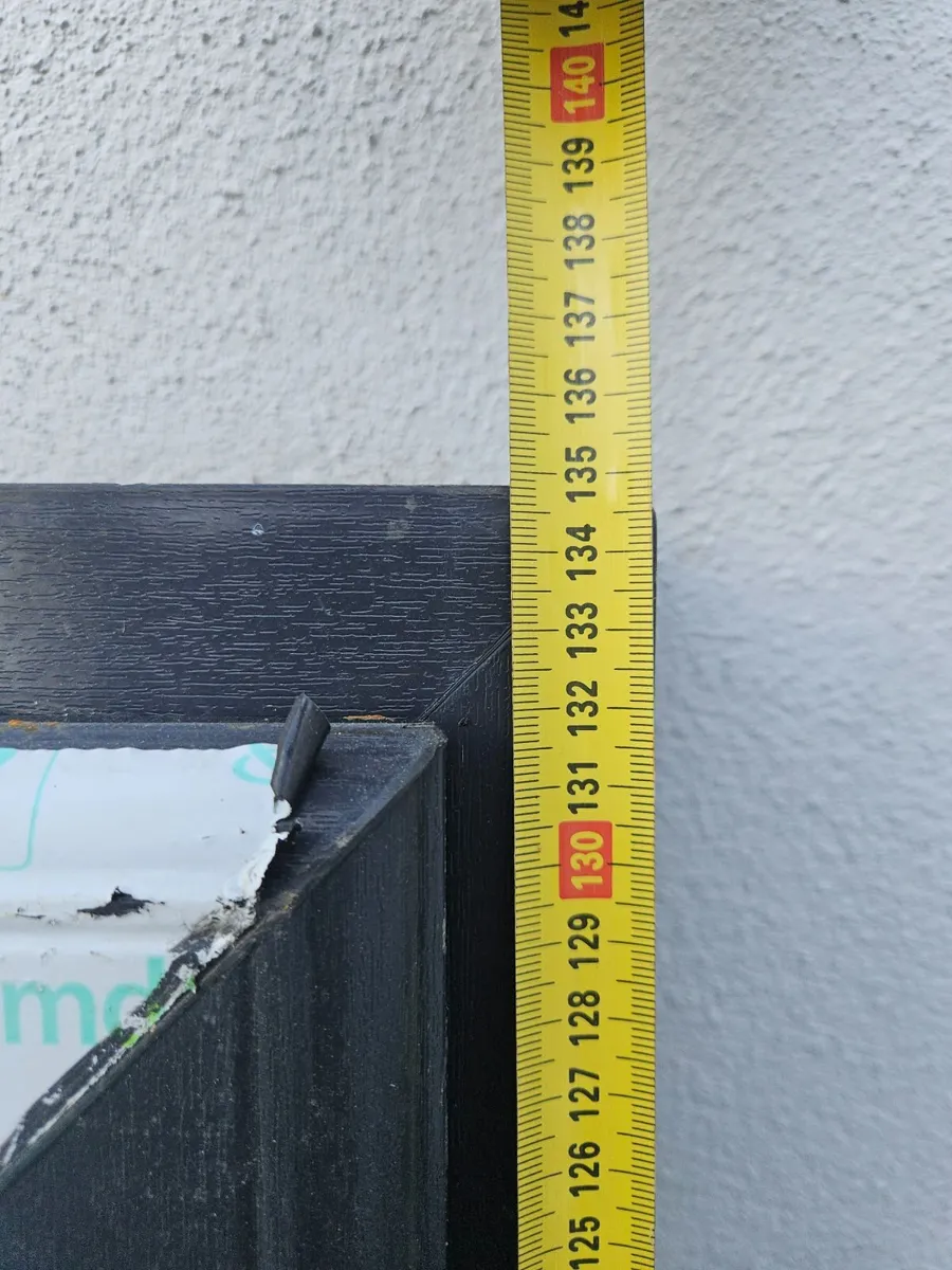 window - Image 2