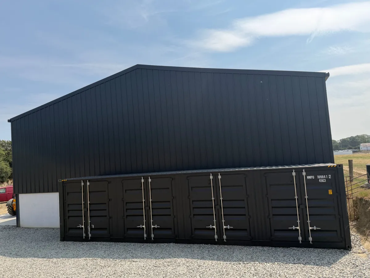 Container for storage rent - Image 3