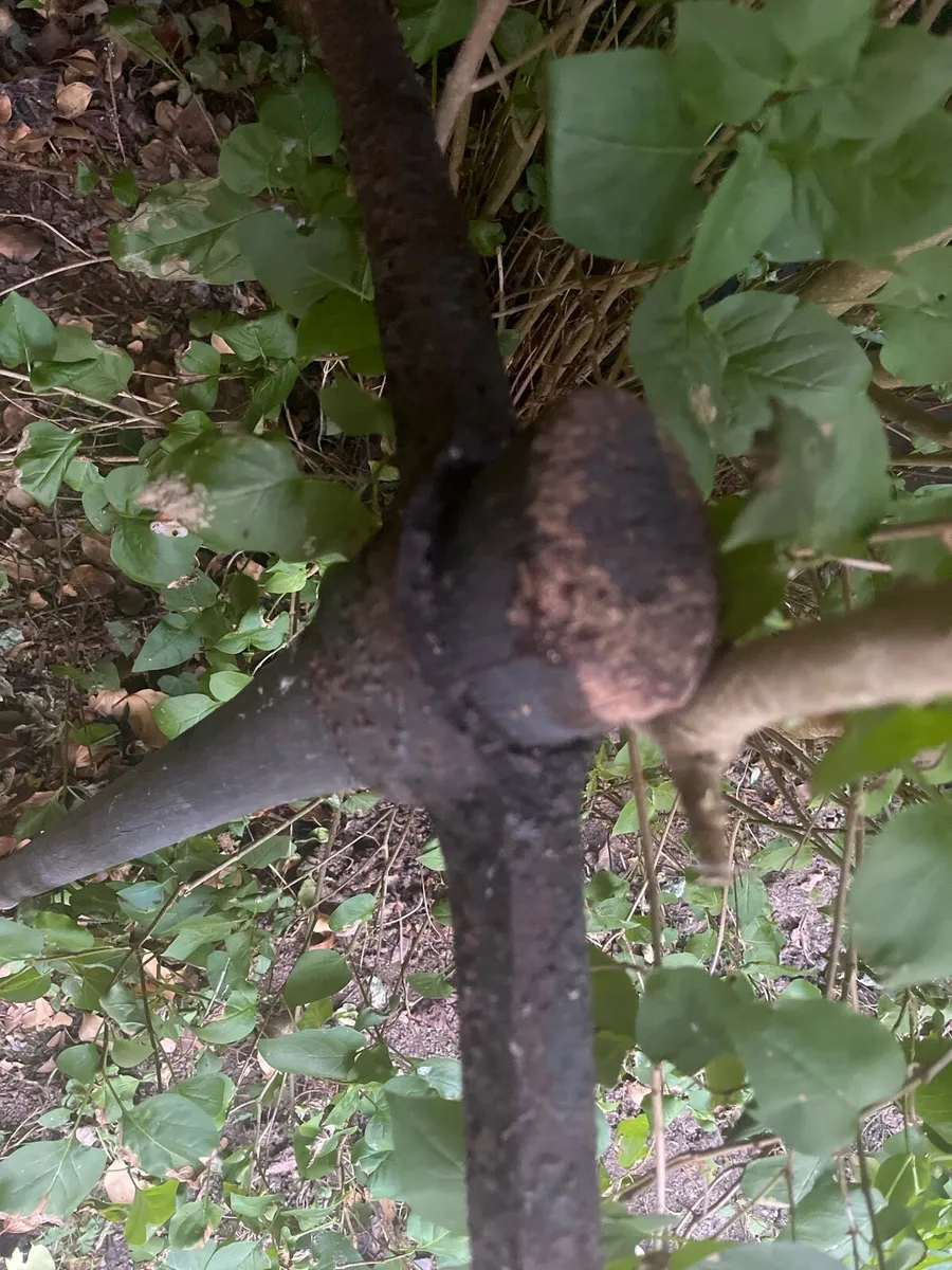 a vintage or antique pickaxe - Image 1