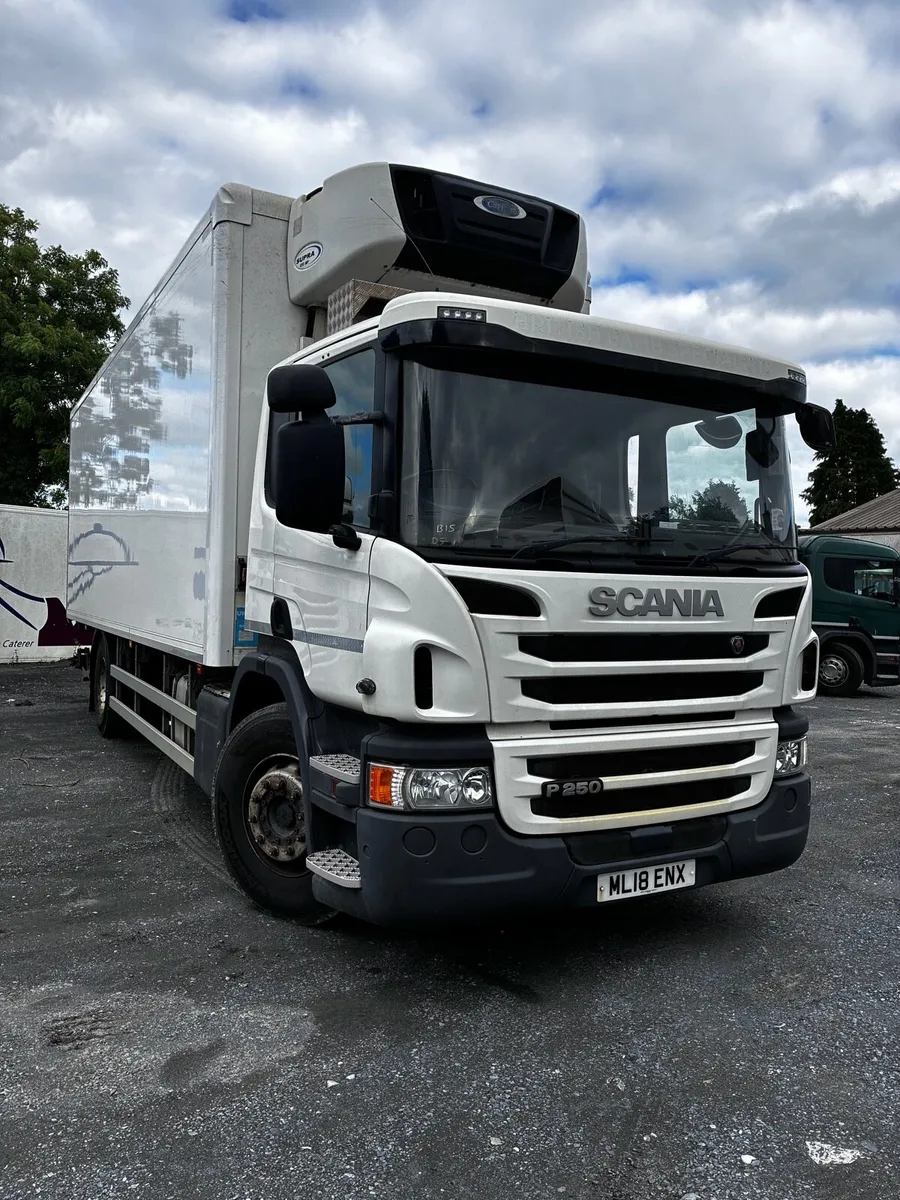 2018 scania p250 fridge - Image 2
