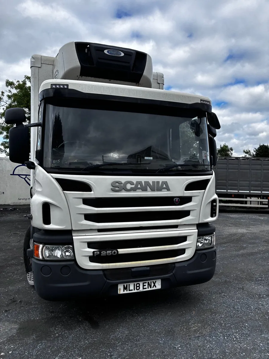 2018 scania p250 fridge - Image 1
