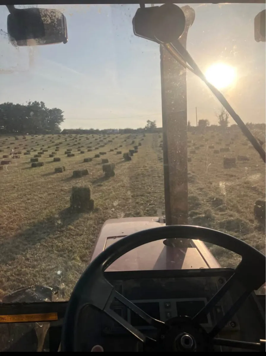 Square bale hay