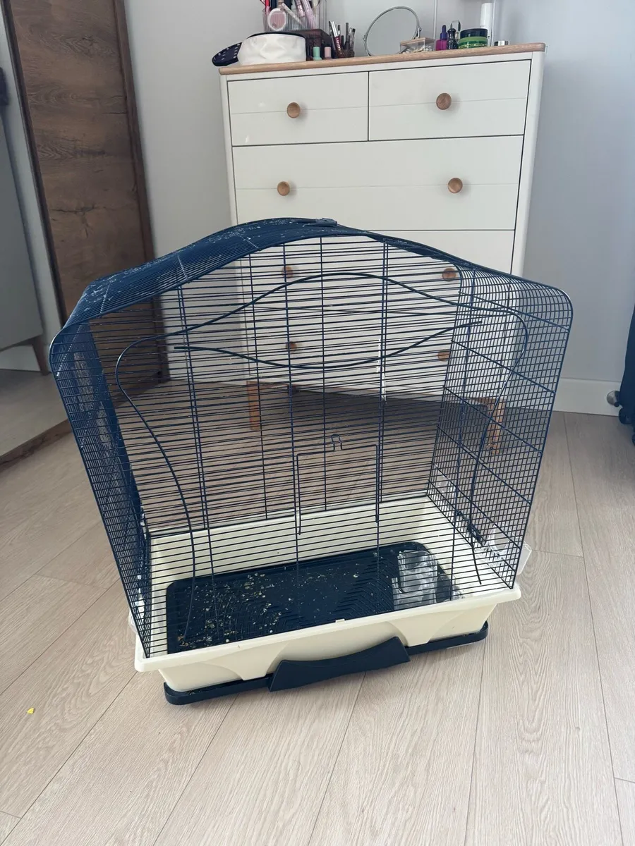 Budgies and cage - Image 3
