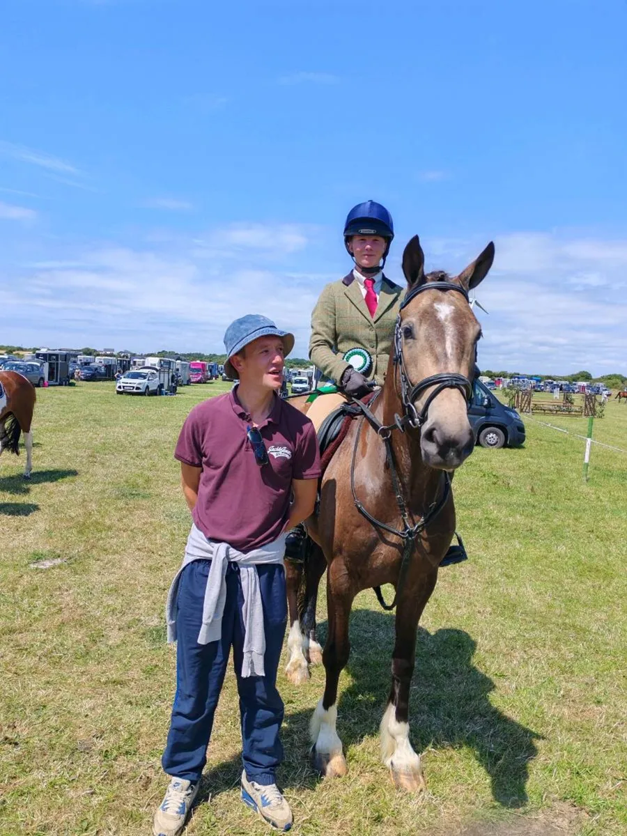 4yr old dun gelding - Image 1