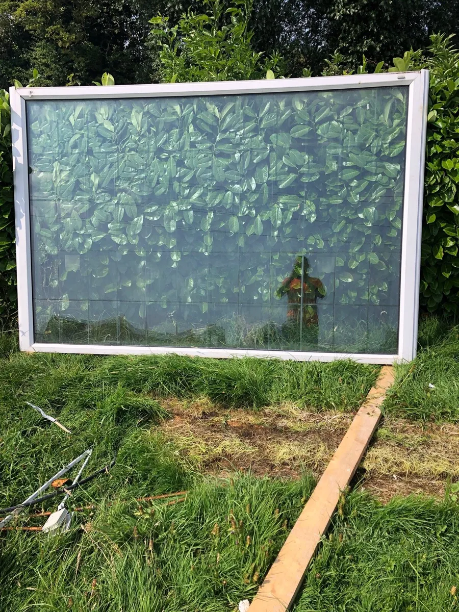 Window - Image 2