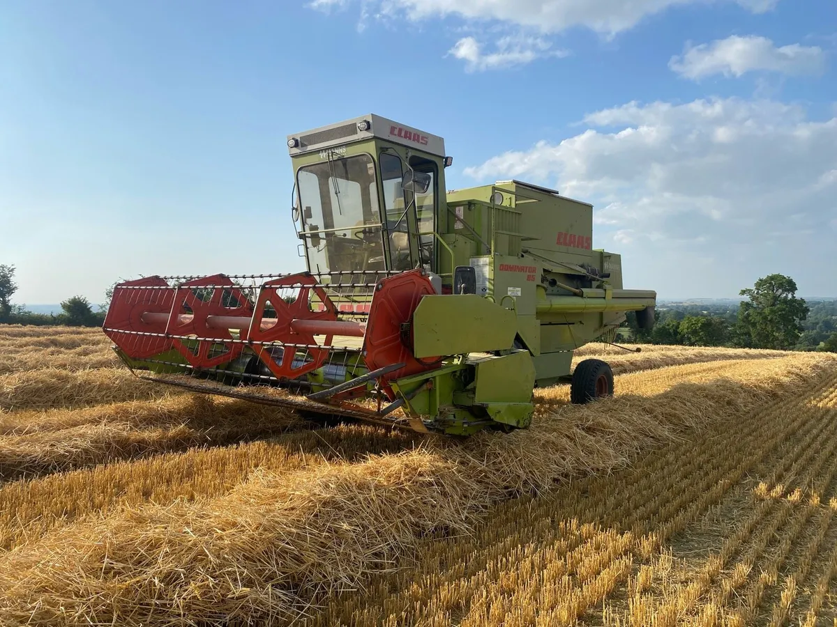 Claas Dominator 85 - Image 2
