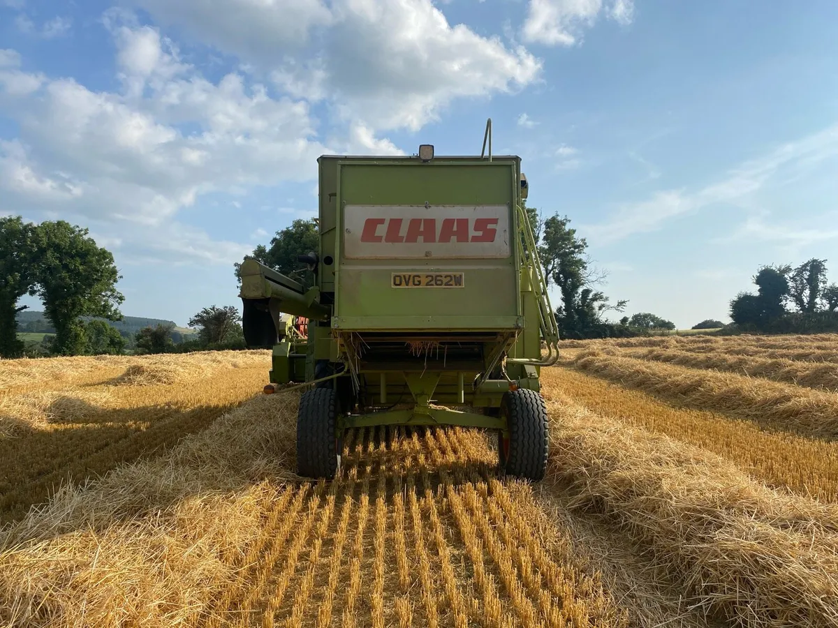 Claas Dominator 85 - Image 4