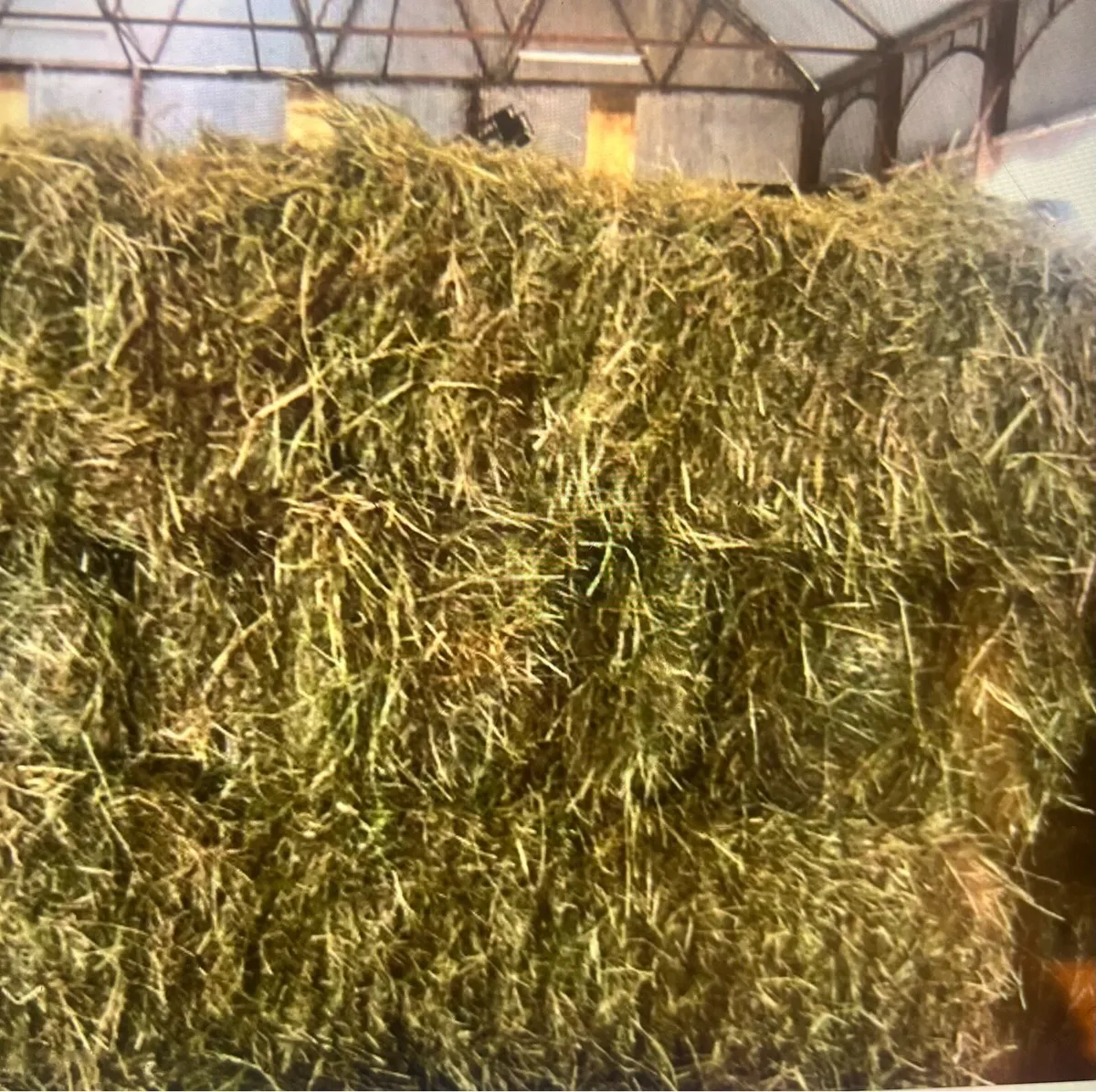 Square bales of hay - Image 2