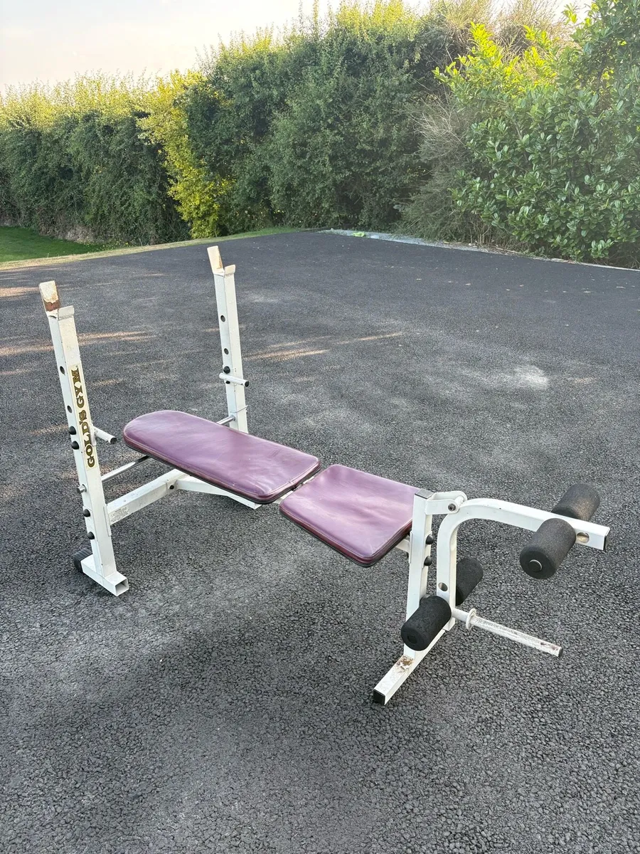 Golds Gym Bench - Image 1