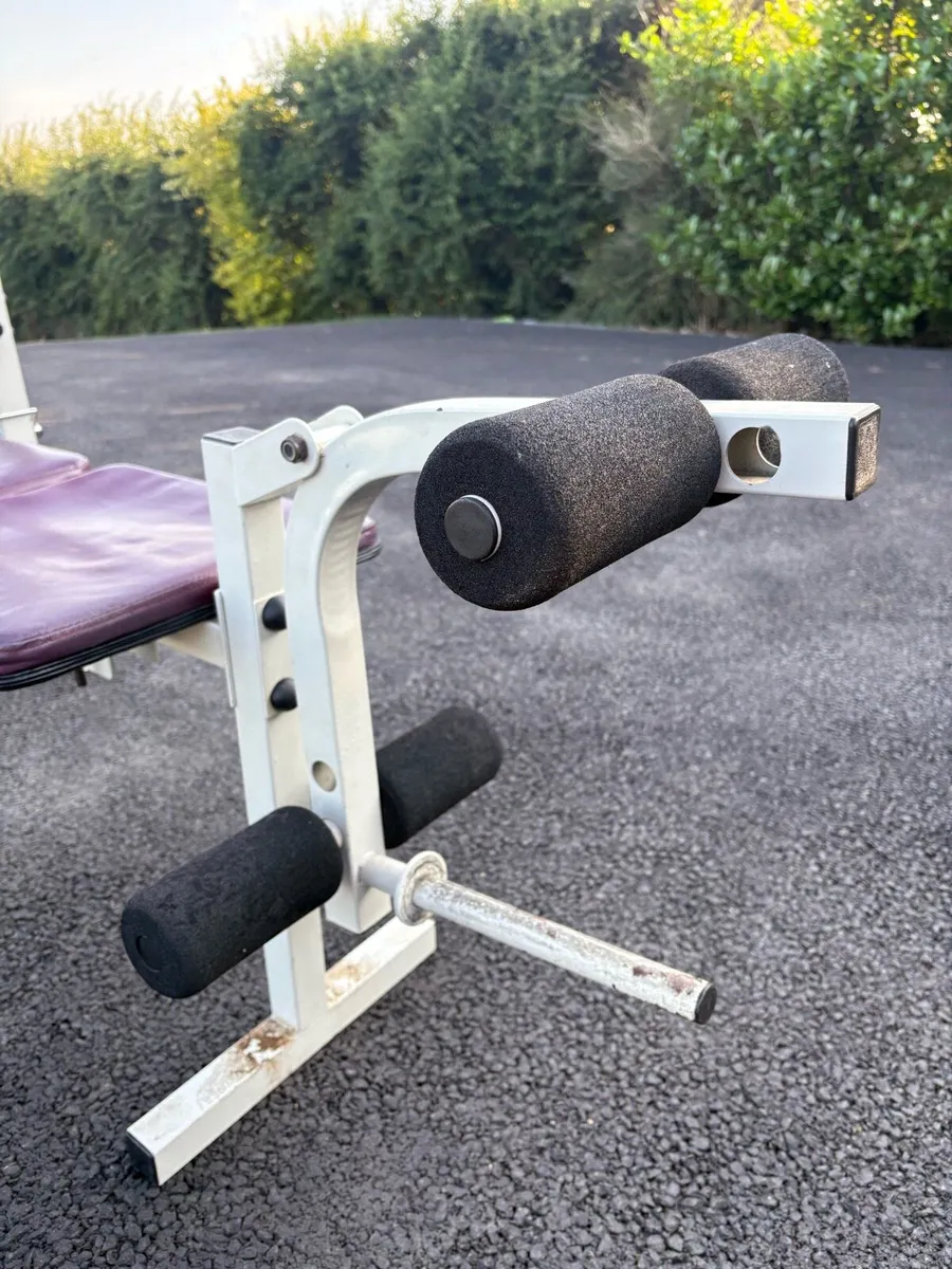 Golds Gym Bench - Image 3