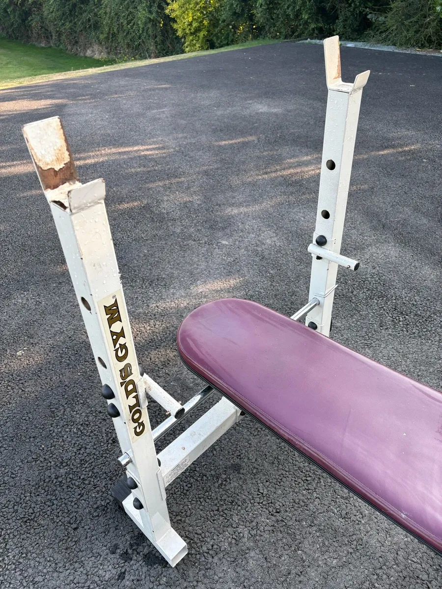 Golds Gym Bench - Image 4