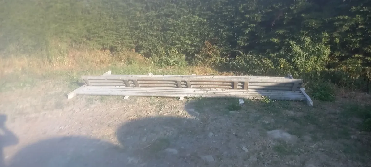 Cattle grid - Image 1