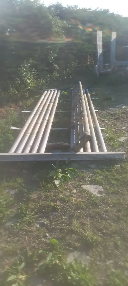 Cattle grid - Image 3