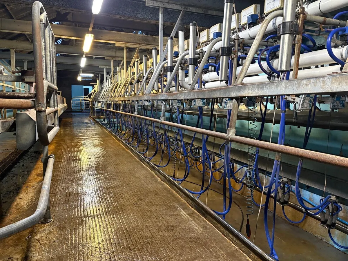 Fullwood 40/40 50 Degree Milking System - Image 1