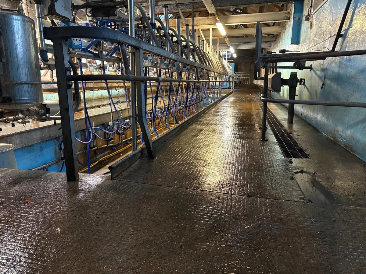 Fullwood 40/40 50 Degree Milking System - Image 2