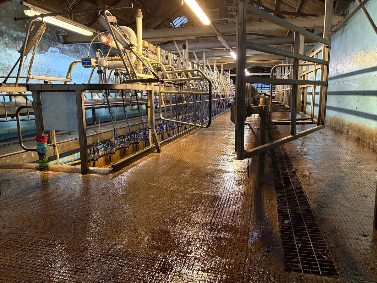 Fullwood 40/40 50 Degree Milking System - Image 3
