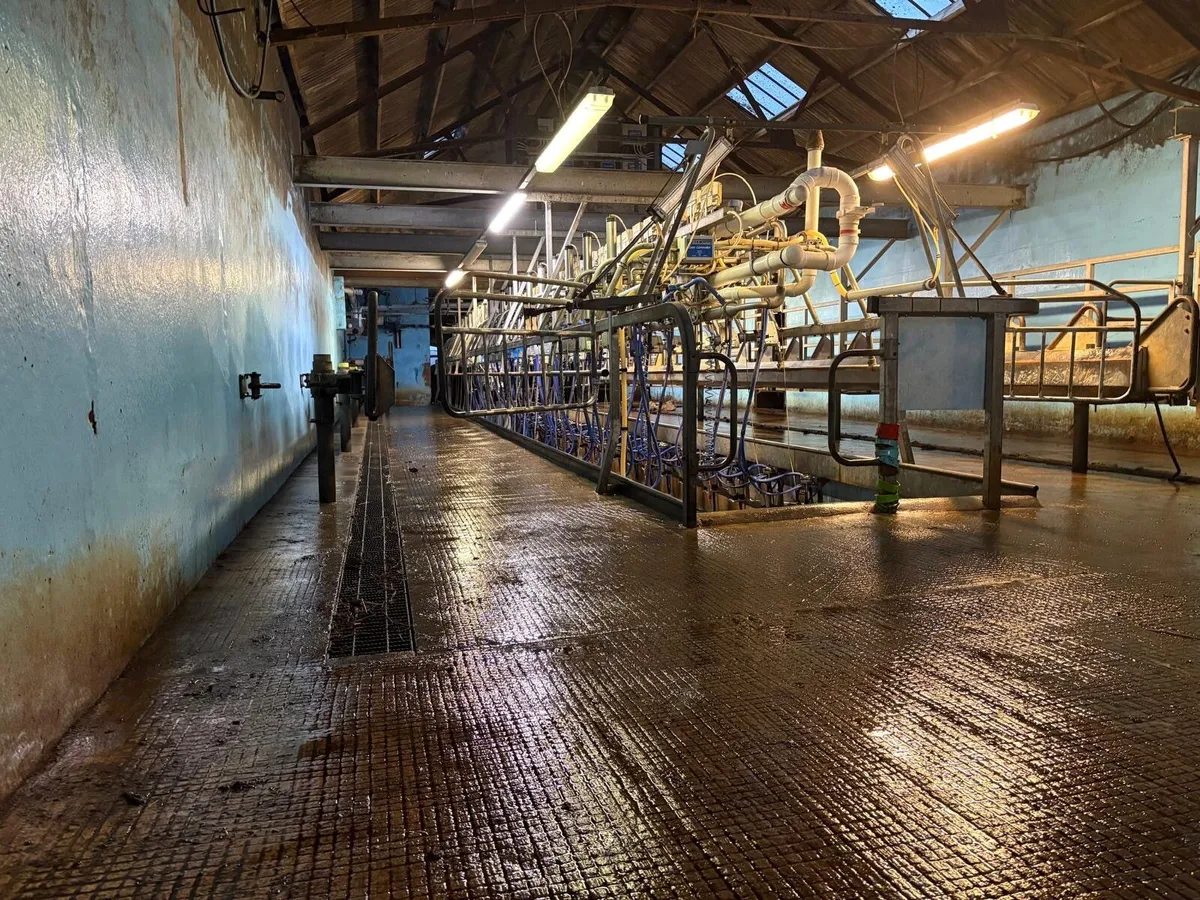 Fullwood 40/40 50 Degree Milking System - Image 4