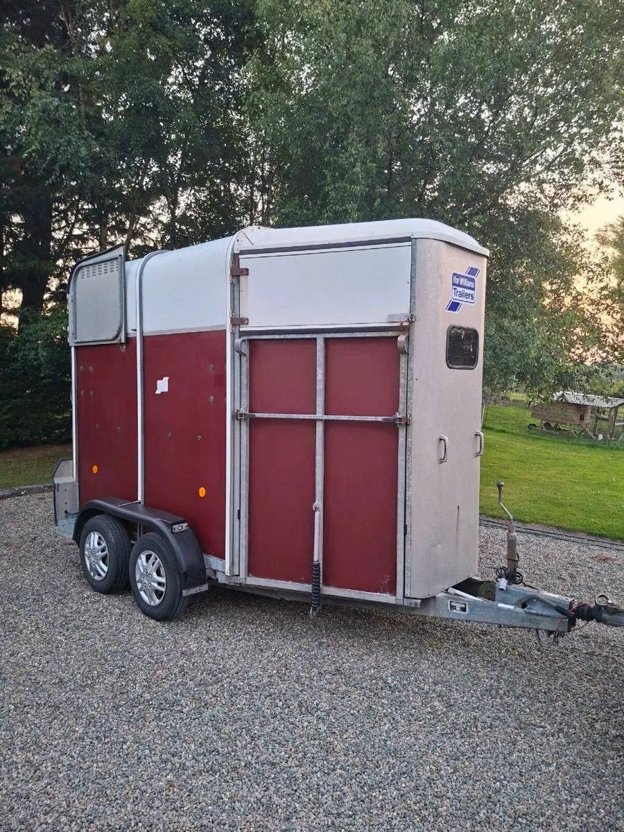 Ifor Williams 505 Double Horsebox - Image 1