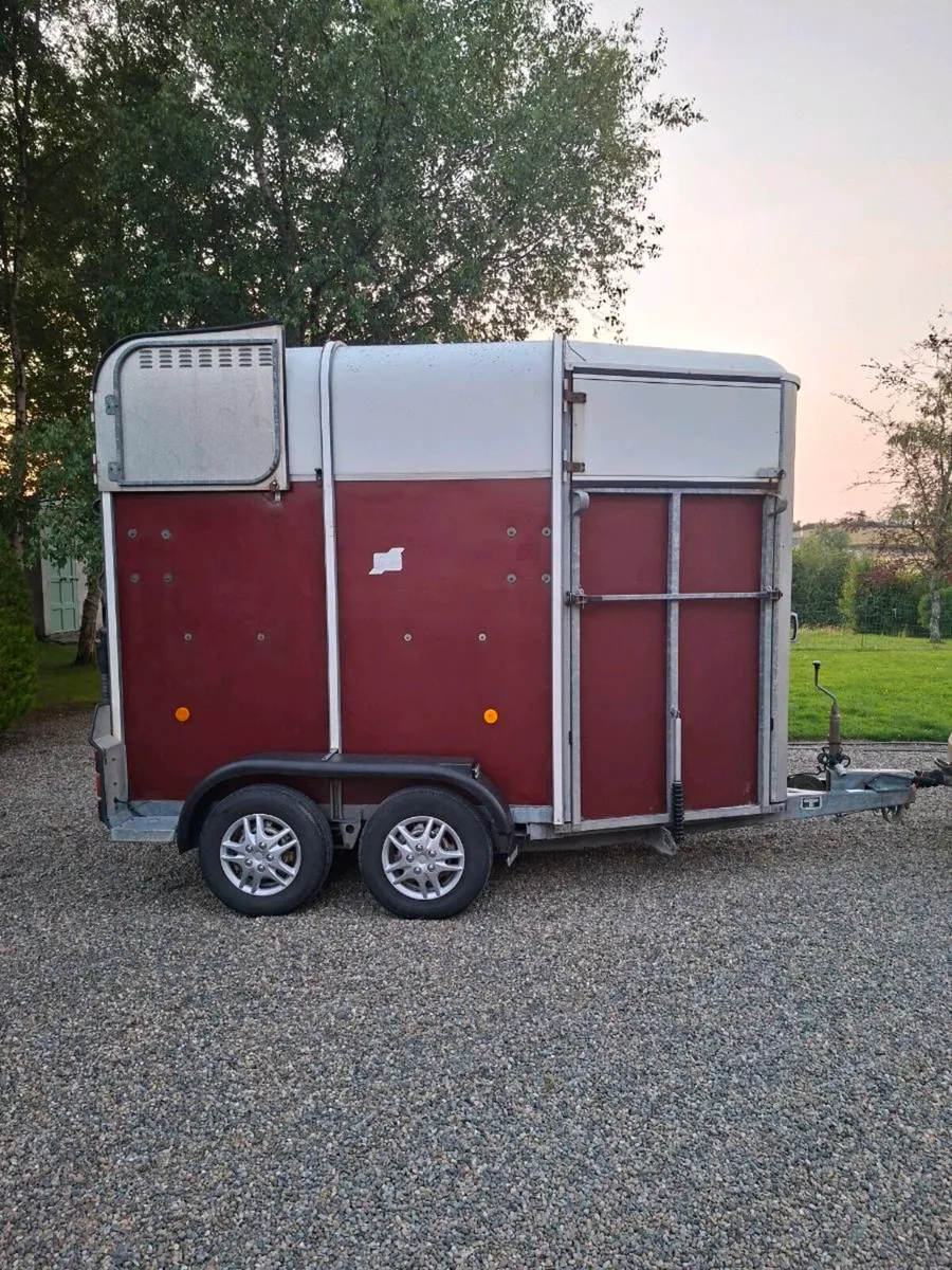 Ifor Williams 505 Double Horsebox - Image 3